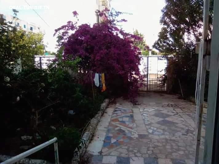 deal tunisie annonce
