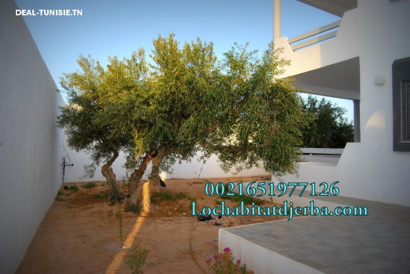 Image Annonce Deal-tunisie