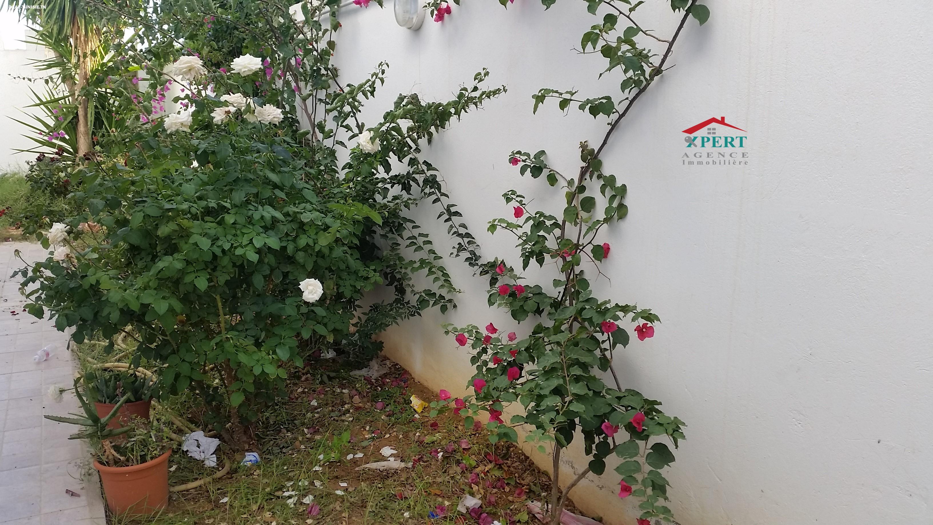 Image Annonce Deal-tunisie