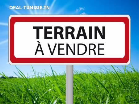 deal tunisie annonce