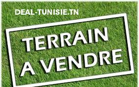 deal tunisie annonce