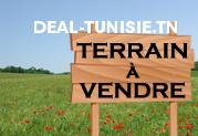 deal tunisie annonce