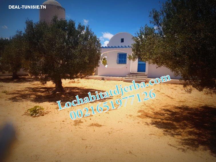 Image Annonce Deal-tunisie