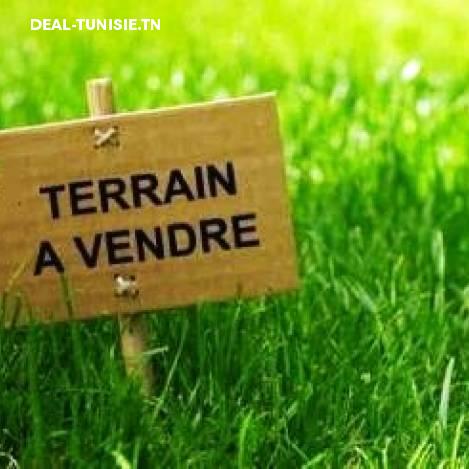deal tunisie annonce