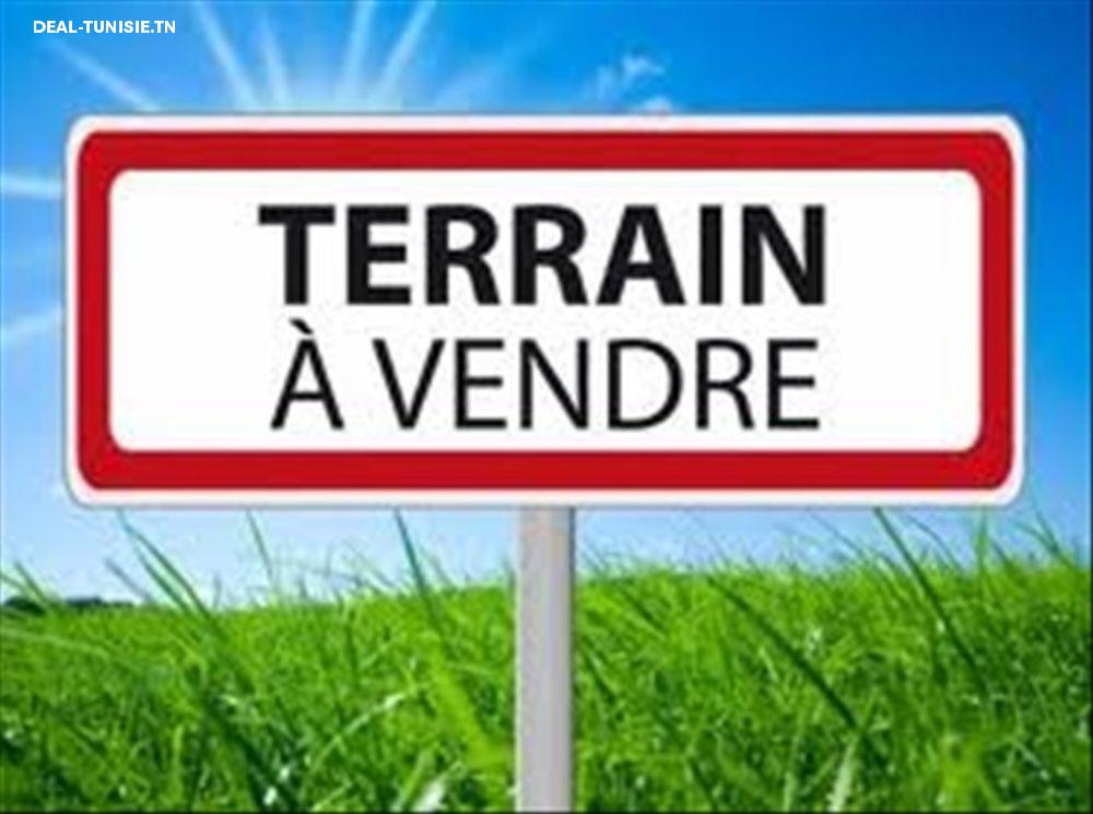deal tunisie annonce