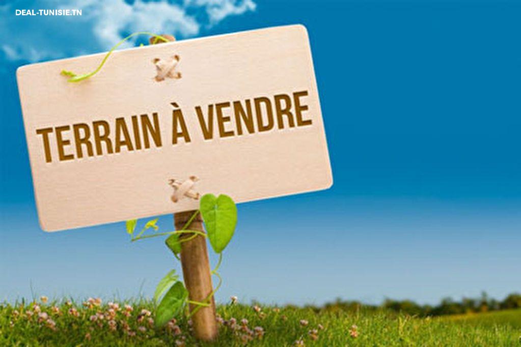 deal tunisie annonce
