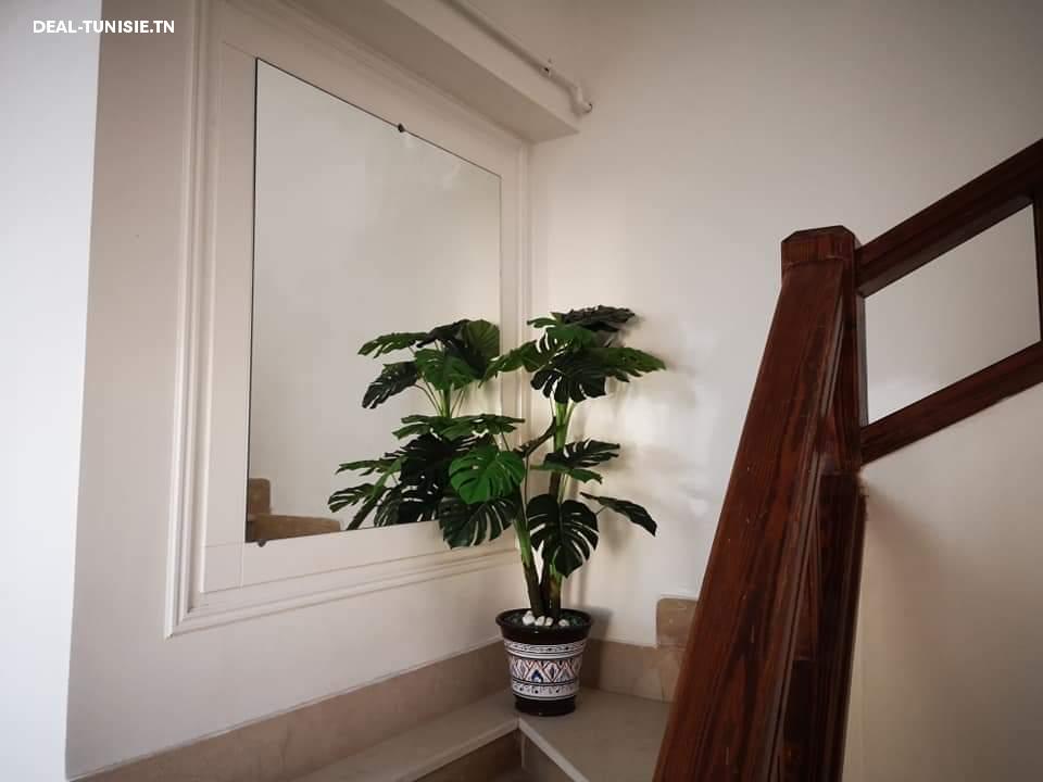 Image Annonce Deal-tunisie