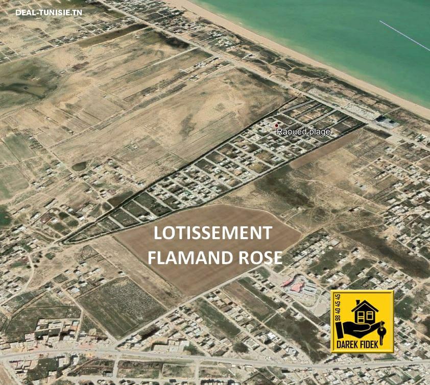 deal tunisie annonce