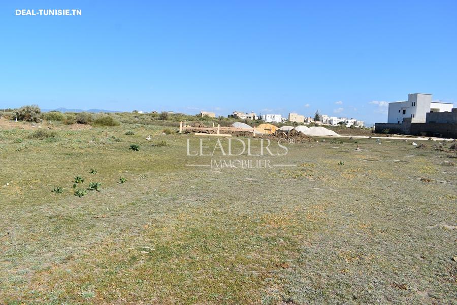 Image Annonce Deal-tunisie