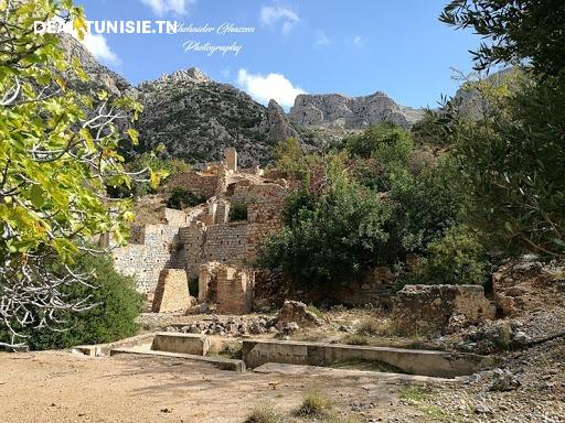 Image Annonce Deal-tunisie