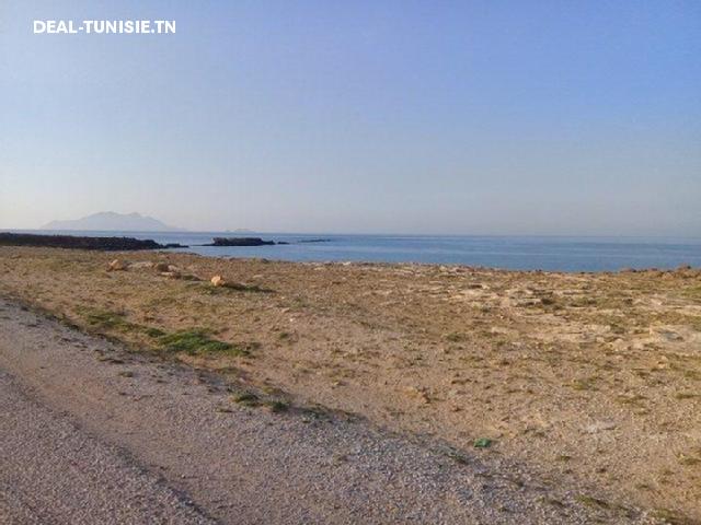 deal tunisie annonce