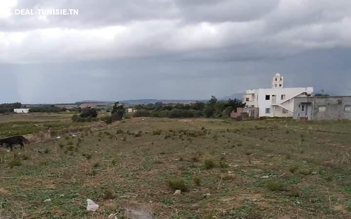 Image Annonce Deal-tunisie