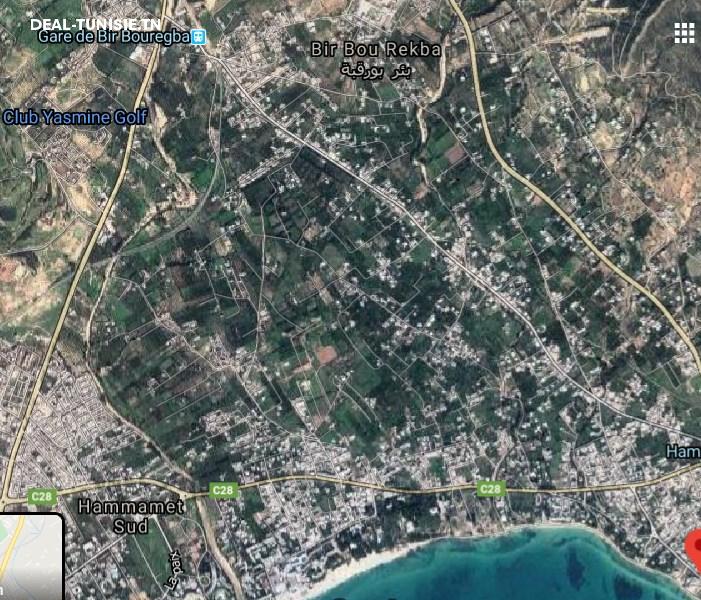 Image Annonce Deal-tunisie