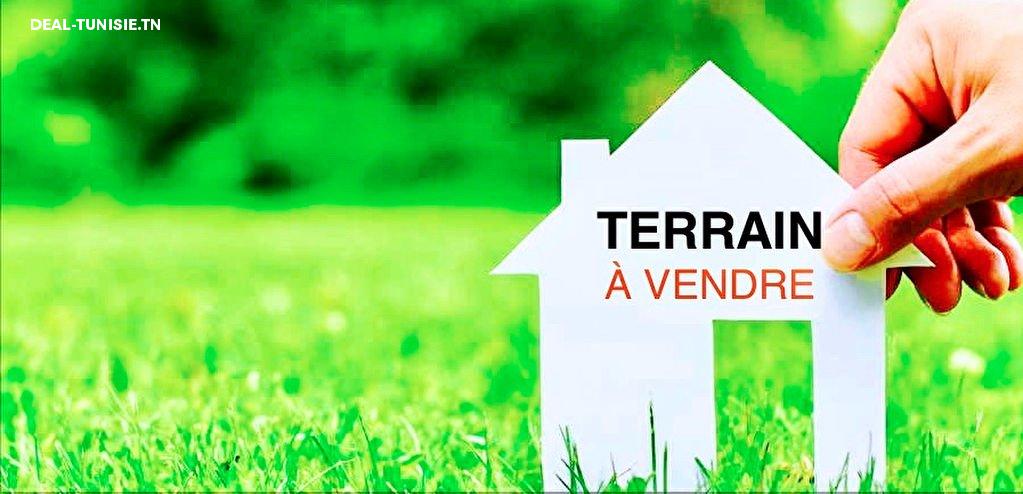 deal tunisie annonce