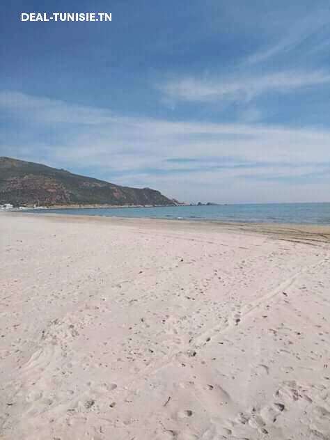 deal tunisie annonce