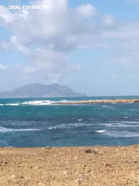 deal tunisie annonce