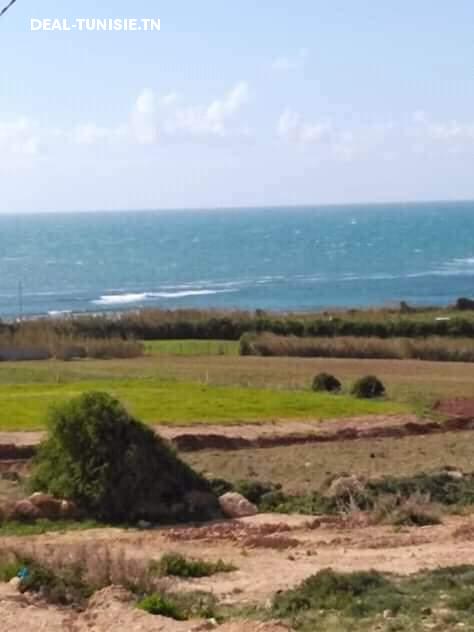 Image Annonce Deal-tunisie