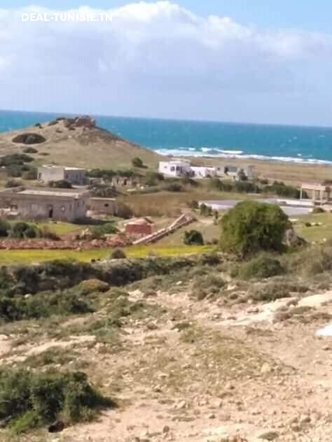 Image Annonce Deal-tunisie