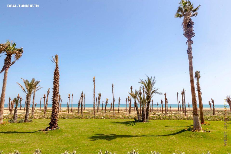 Image Annonce Deal-tunisie