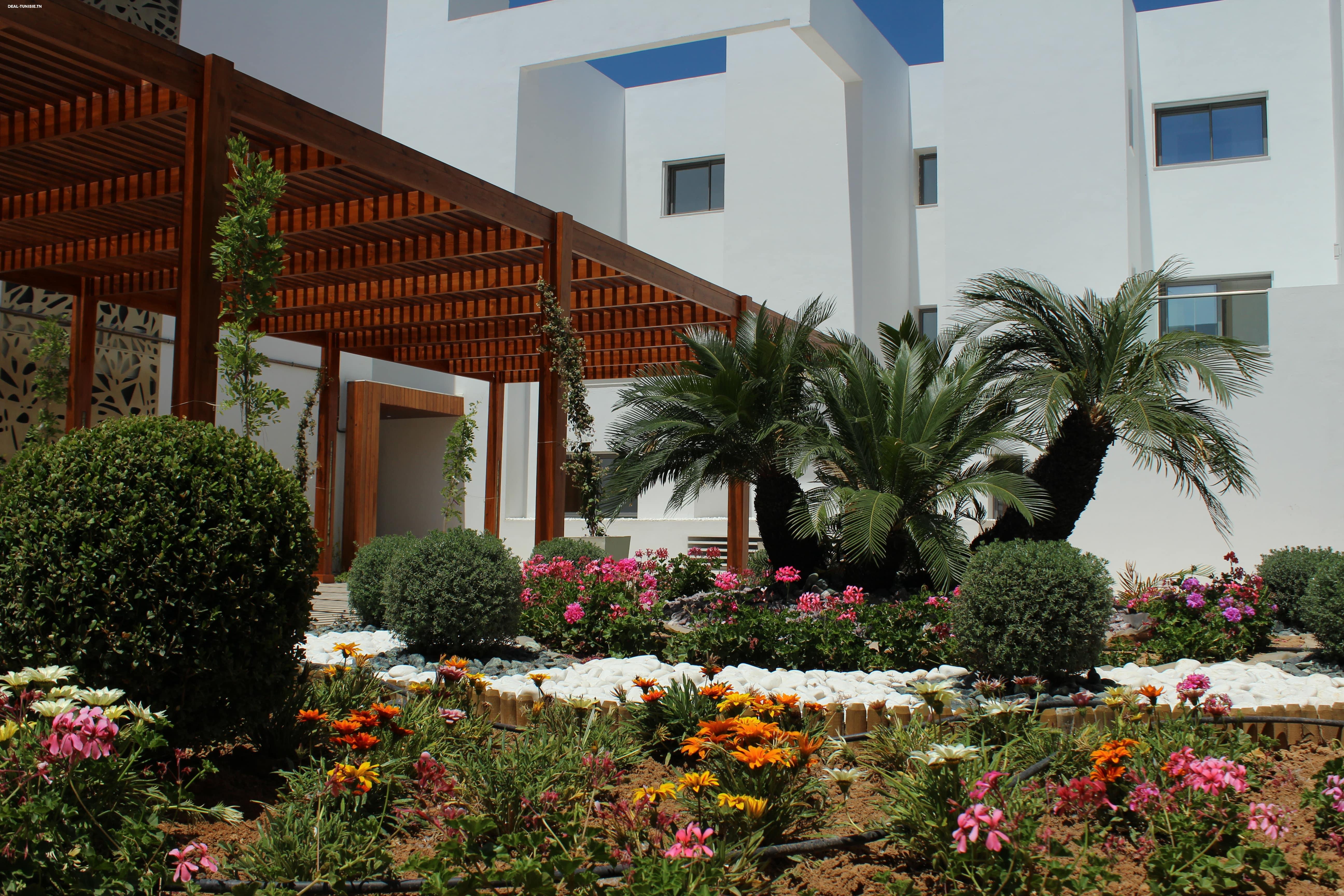 Image Annonce Deal-tunisie
