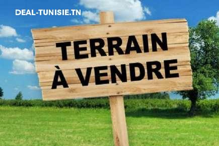 deal tunisie annonce