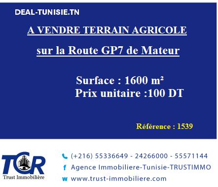 deal tunisie annonce