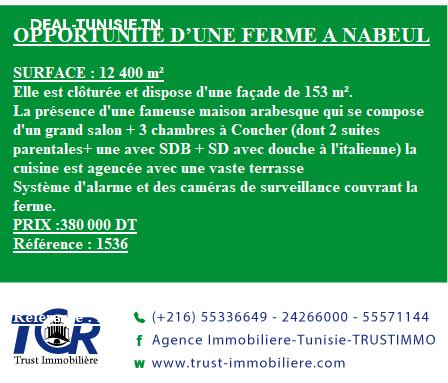 deal tunisie annonce