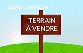 deal tunisie annonce