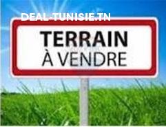 deal tunisie annonce