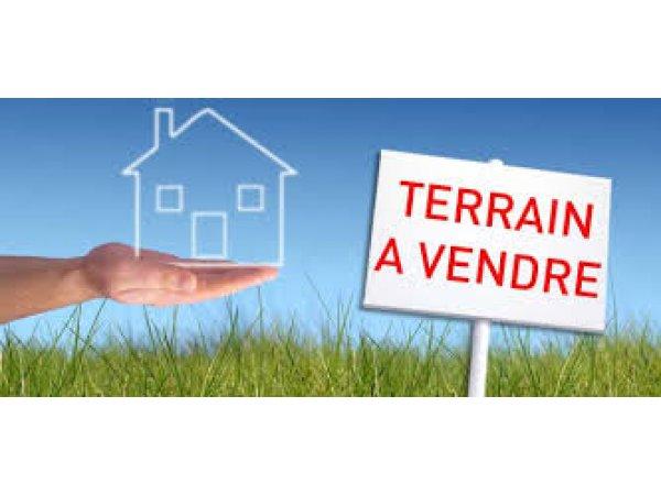 deal tunisie annonce