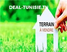 deal tunisie annonce