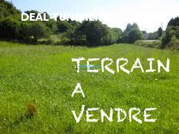 deal tunisie annonce