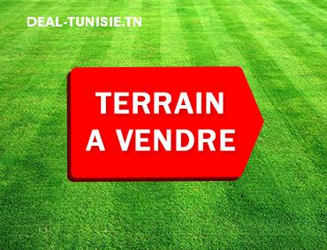 deal tunisie annonce