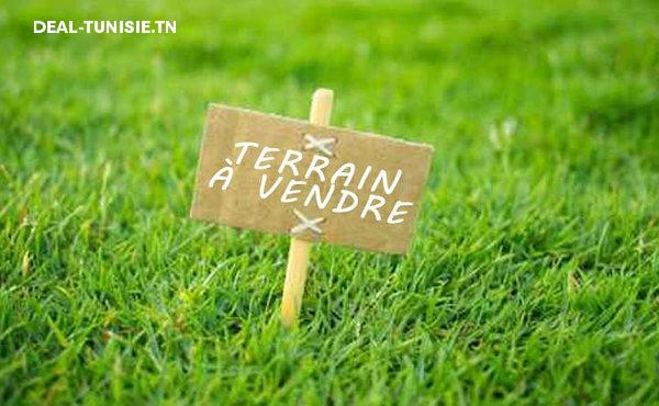 deal tunisie annonce