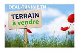 deal tunisie annonce