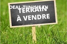 deal tunisie annonce