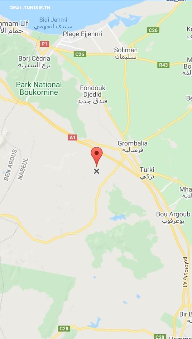 Image Annonce Deal-tunisie