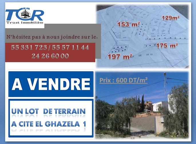 deal tunisie annonce