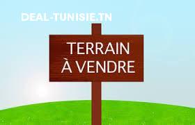 deal tunisie annonce