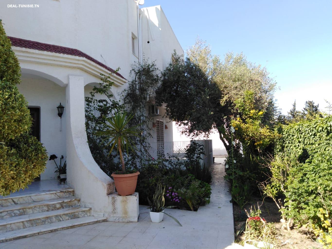 Image Annonce Deal-tunisie