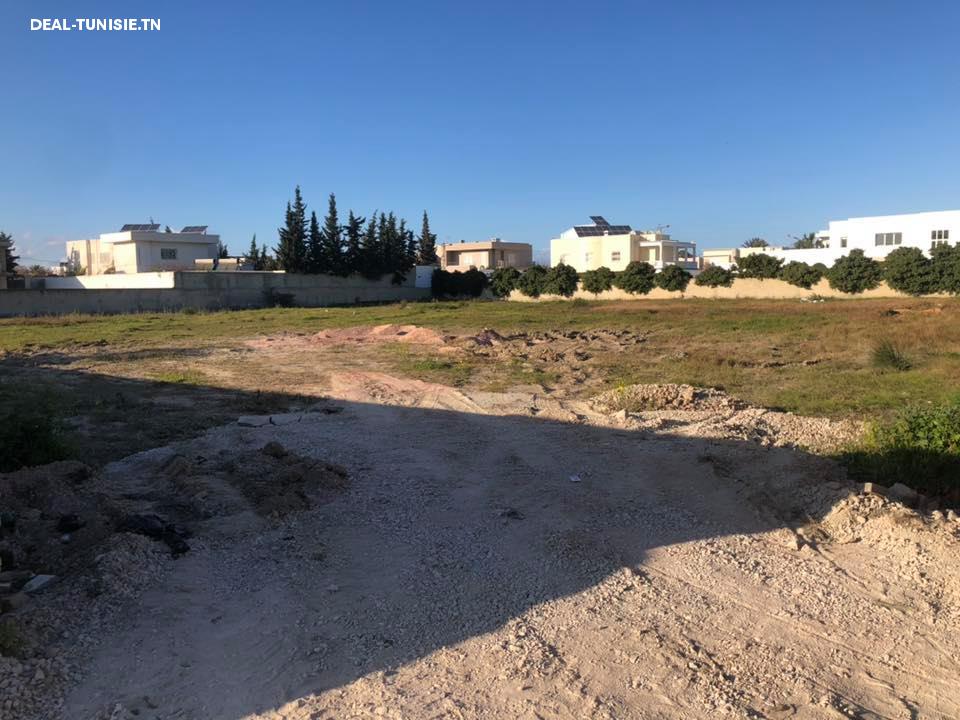 deal tunisie annonce