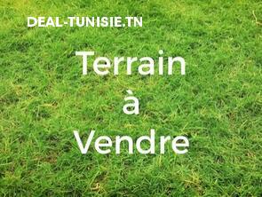 deal tunisie annonce