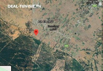 Image Annonce Deal-tunisie