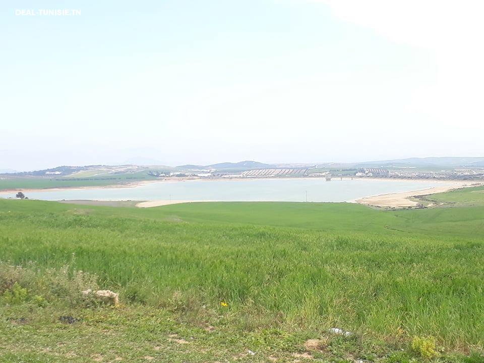 deal tunisie annonce