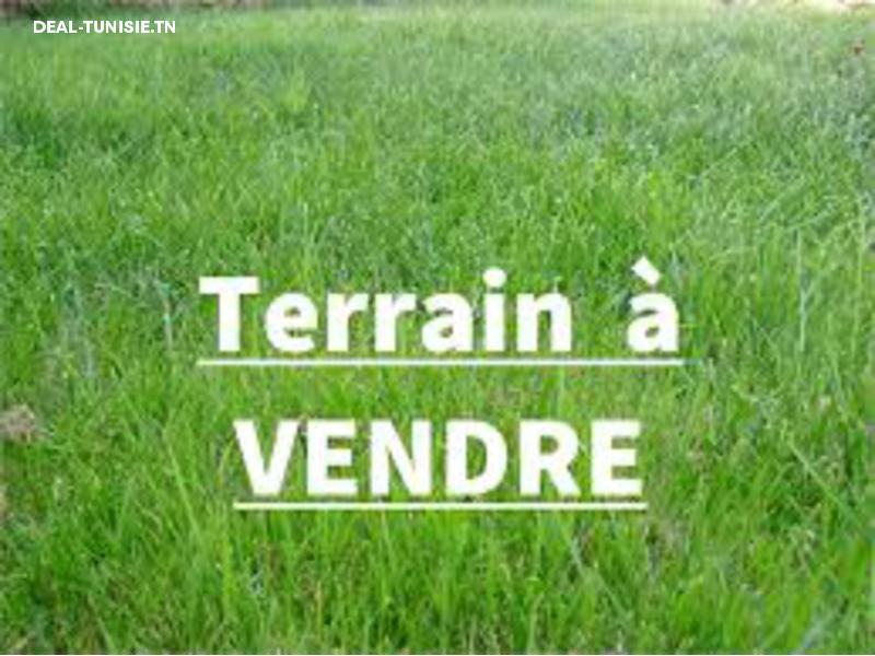 deal tunisie annonce
