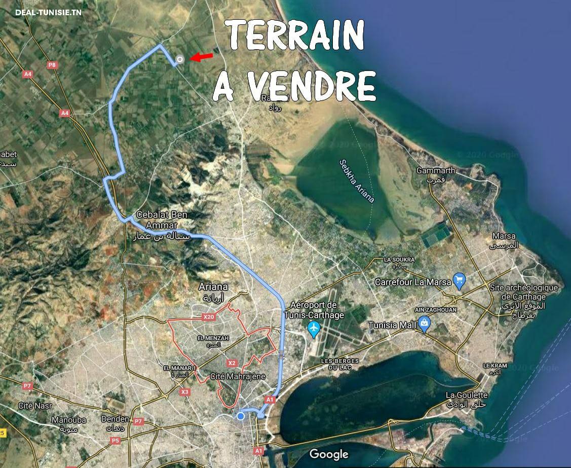 deal tunisie annonce