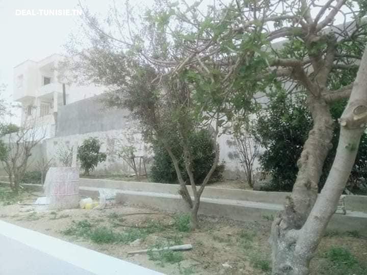 Image Annonce Deal-tunisie