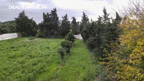 Image Annonce Deal-tunisie