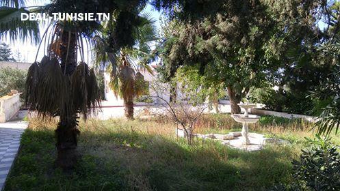 Image Annonce Deal-tunisie