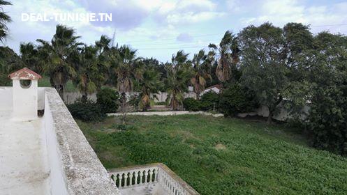 Image Annonce Deal-tunisie